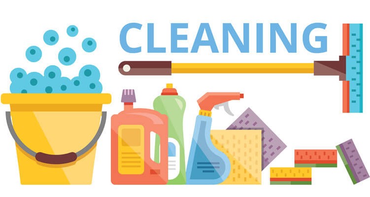 domestic cleaning companies